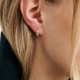 Cluster Huggie (7726442446929)