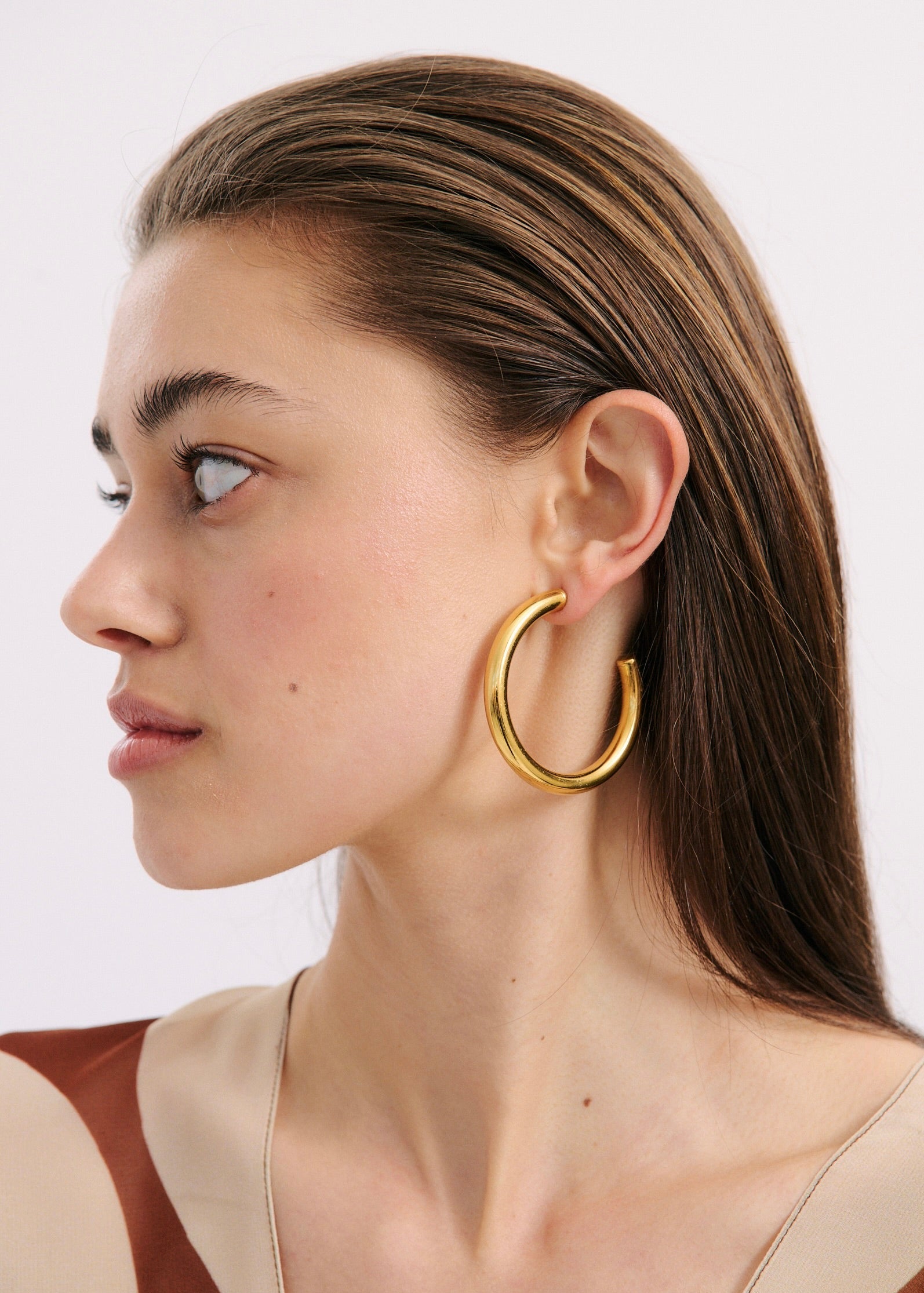 Big Hoop Earring (7102710251601)